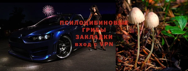 хмурый Алзамай