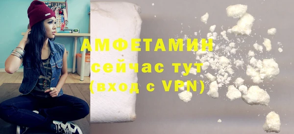хмурый Алзамай
