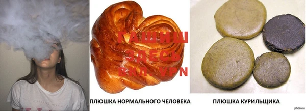 дмт Абаза