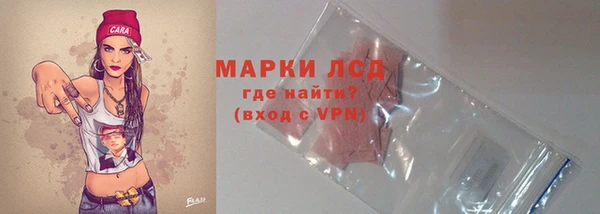 хмурый Алзамай