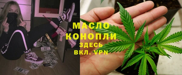 дмт Абаза
