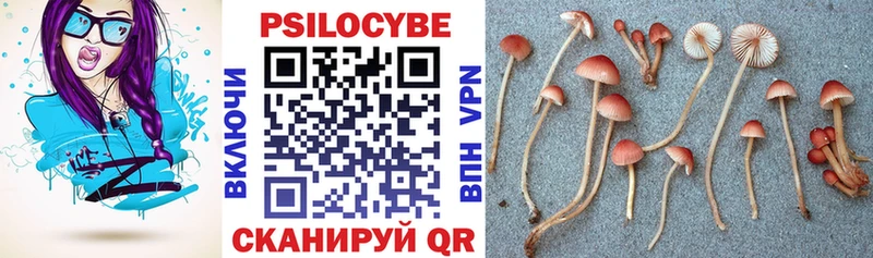 Галлюциногенные грибы Psilocybe  OMG ссылки  Чердынь 
